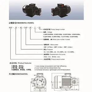 Pump & Motor Assemblies (Vane Pump/Motor Unit)