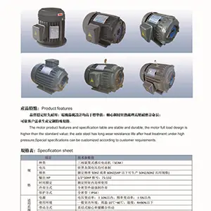 Hollow Shaft Electric Motor for Hydraulic Pumps