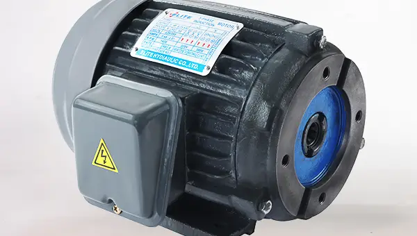 Hollow Shaft Electric Motors