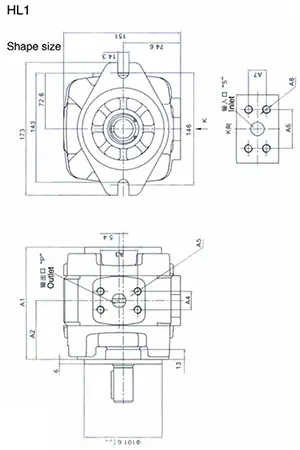 HL1 Single Gear Pumps