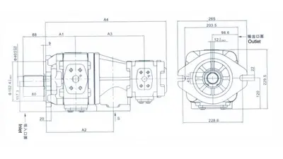 HL21 Double Gear Pumps