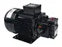 MVF Series Vane Pump/Motor Unit