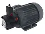 HSW Series Vane Pump/Motor Unit