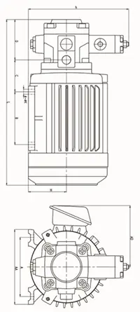 HSW Series Vane Pump/Motor Unit