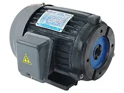 Hollow Shaft Electric Motors
