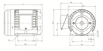 HSW Horizontal Electric Motor Image 1